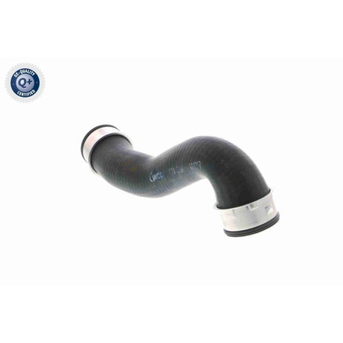 VAICO Ladeluftschlauch Q+, Erstausrüsterqualität V10-3761