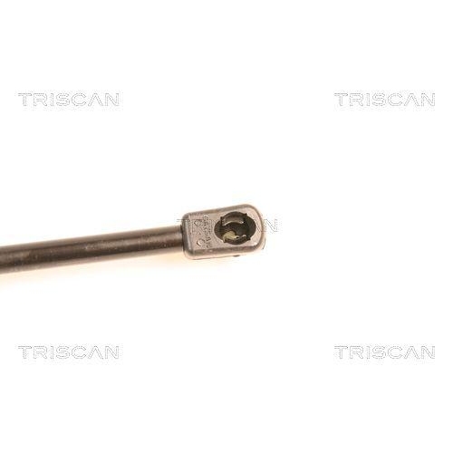 TRISCAN Gasfeder, Koffer-/Laderaum 8710 16237