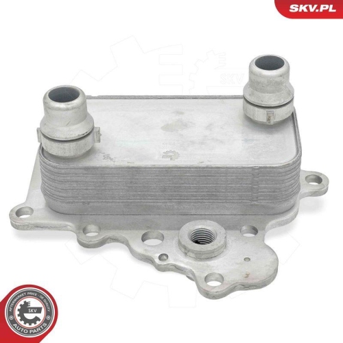 ESEN SKV &Ouml;lk&uuml;hler, Motor&ouml;l 31SKV350