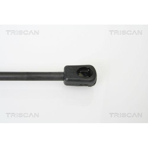 TRISCAN Gasfeder, Koffer-/Laderaum 8710 16240