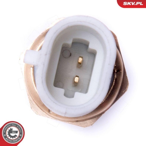 ESEN SKV Sensor, Ansauglufttemperatur 17SKV678