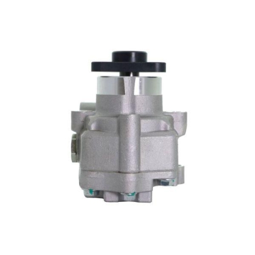 LAUBER Hydraulikpumpe, Lenkung 55.0049