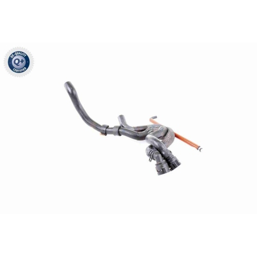 VAICO Kühlerschlauch Q+, Erstausrüsterqualität V10-3910