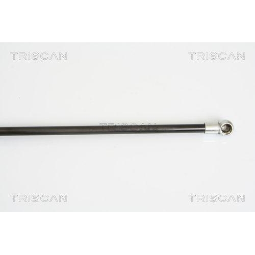 TRISCAN Gasfeder, Koffer-/Laderaum 8710 16246