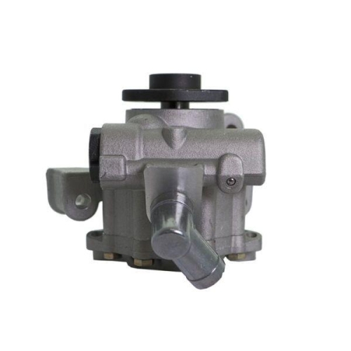 LAUBER Hydraulikpumpe, Lenkung 55.1031
