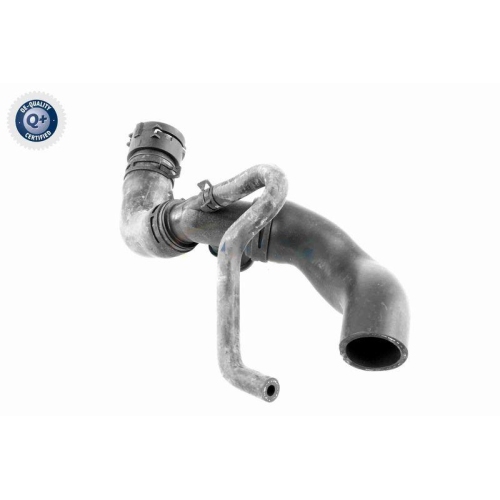 VAICO Kühlerschlauch Q+, Erstausrüsterqualität V10-3915