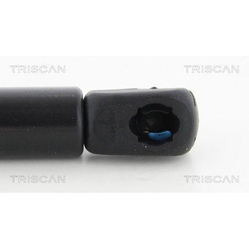 TRISCAN Gasfeder, Koffer-/Laderaum 8710 16267