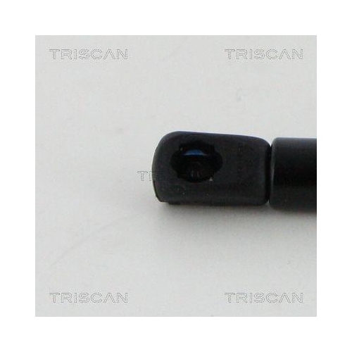 TRISCAN Gasfeder, Motorhaube 8710 17108