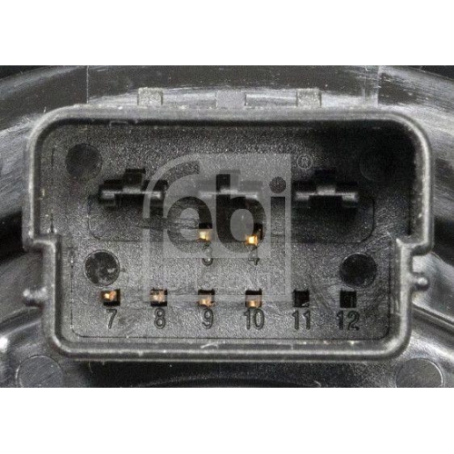 FEBI BILSTEIN Wickelfeder, Airbag febi Plus 199082