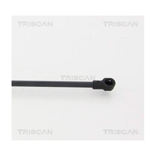 TRISCAN Gasfeder, Koffer-/Laderaum 8710 17219