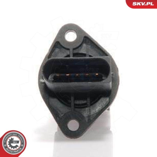 ESEN SKV Luftmassenmesser 07SKV139