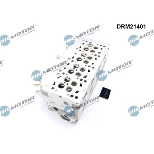 Dr.Motor Automotive Zylinderkopf DRM21401