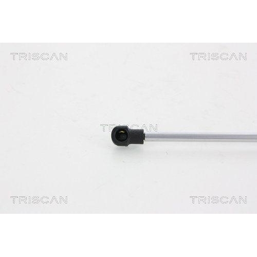 TRISCAN Gasfeder, Koffer-/Laderaum 8710 18228