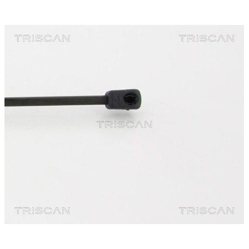 TRISCAN Gasfeder, Koffer-/Laderaum 8710 18232