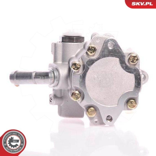 ESEN SKV Hydraulikpumpe, Lenkung 10SKV165