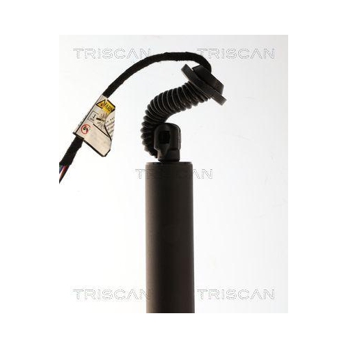 TRISCAN Gasfeder, Koffer-/Laderaum 8710 24303