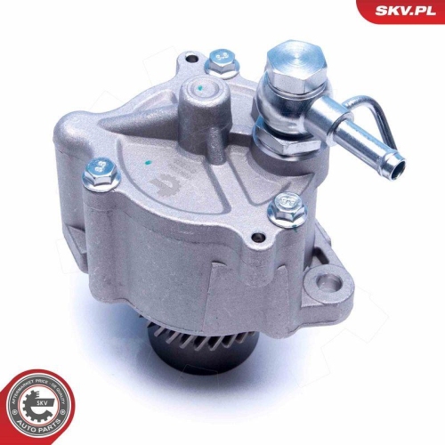 ESEN SKV Unterdruckpumpe, Bremsanlage 18SKV054