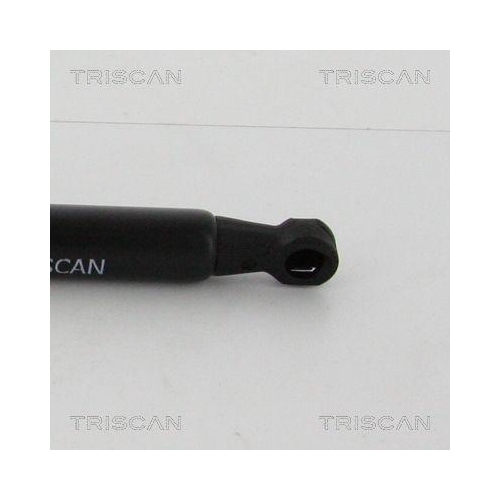 TRISCAN Gasfeder, Koffer-/Laderaum 8710 21210