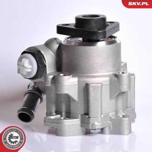 ESEN SKV Hydraulikpumpe, Lenkung 10SKV167