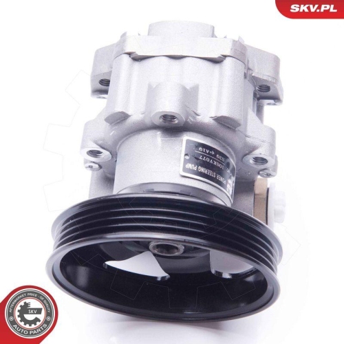 ESEN SKV Hydraulikpumpe, Lenkung 10SKV077