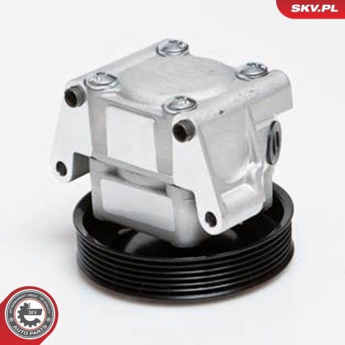 ESEN SKV Hydraulikpumpe, Lenkung 10SKV091