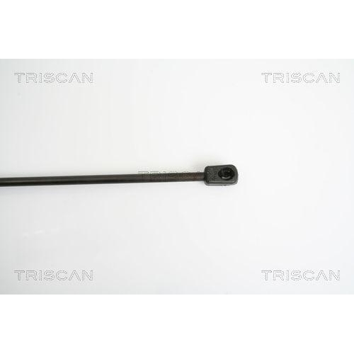 TRISCAN Gasfeder, Koffer-/Laderaum 8710 23213