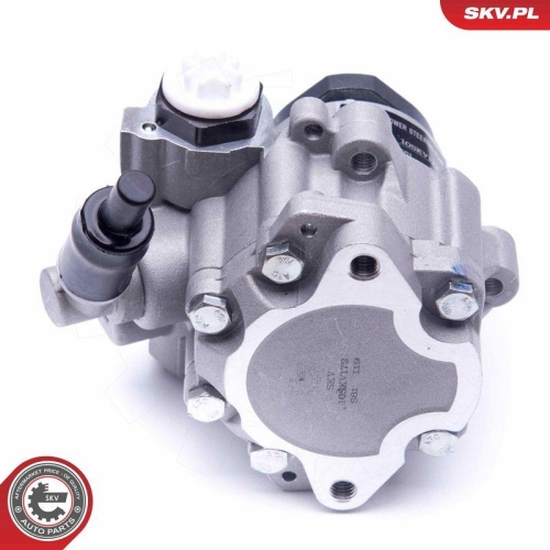 ESEN SKV Hydraulikpumpe, Lenkung 10SKV172