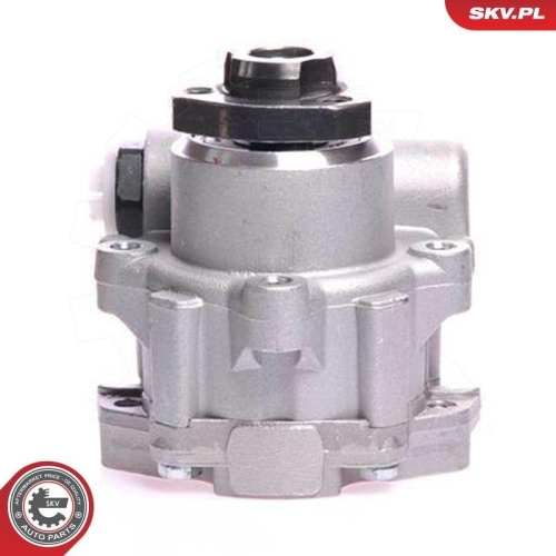 ESEN SKV Hydraulikpumpe, Lenkung 10SKV121