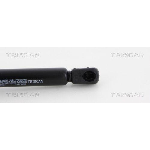 TRISCAN Gasfeder, Koffer-/Laderaum 8710 23223