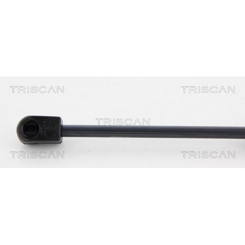 TRISCAN Gasfeder, Koffer-/Laderaum 8710 23229