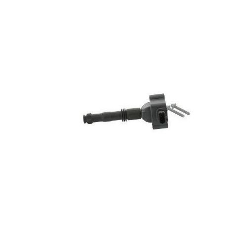 BorgWarner (BERU) Z&uuml;ndspule ZS177