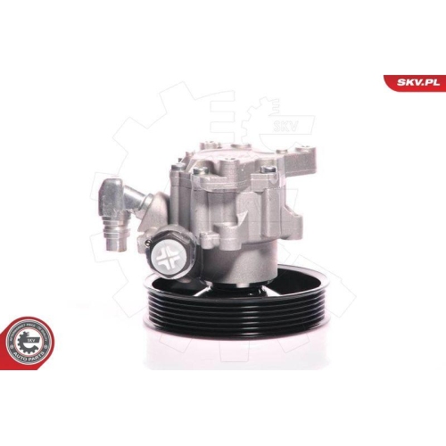 ESEN SKV Hydraulikpumpe, Lenkung 10SKV140