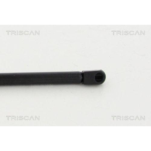 TRISCAN Gasfeder, Koffer-/Laderaum 8710 23241