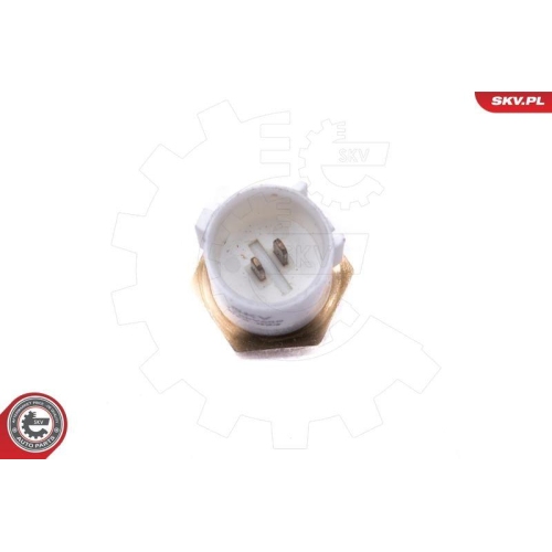 ESEN SKV Sensor, Ansauglufttemperatur 17SKV688