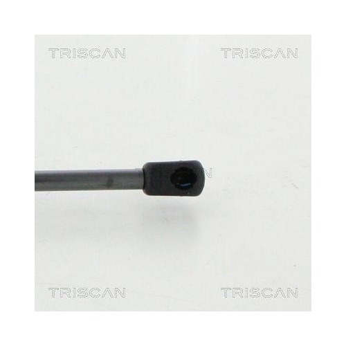 TRISCAN Gasfeder, Koffer-/Laderaum 8710 23249