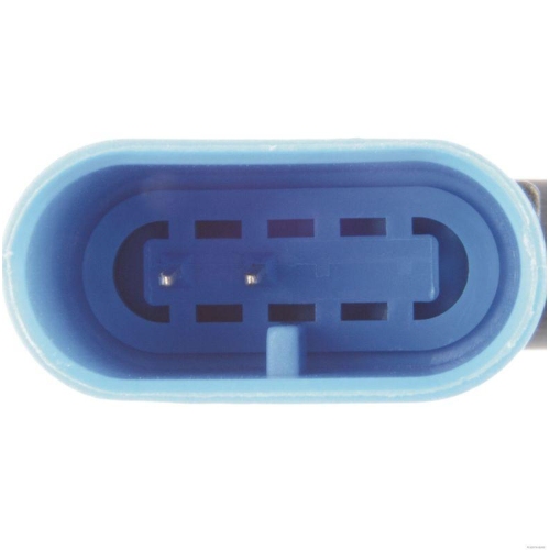 HERTH+BUSS ELPARTS Sensor, Raddrehzahl 70660216