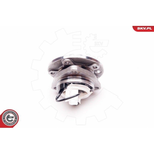 ESEN SKV Radlagersatz