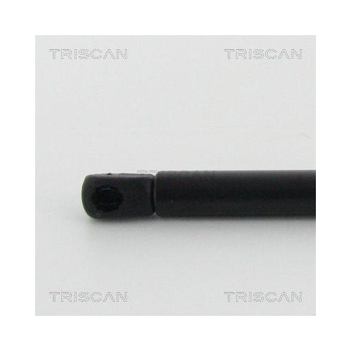 TRISCAN Gasfeder, Motorhaube 8710 24108