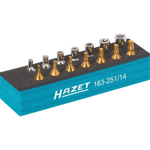 HAZET Werkzeugsatz 163-251/14