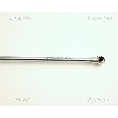 TRISCAN Gasfeder, Koffer-/Laderaum 8710 24209