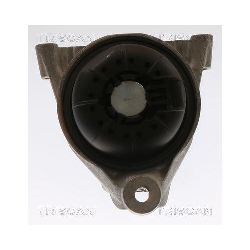 TRISCAN Lagerung, Motor 8505 29168
