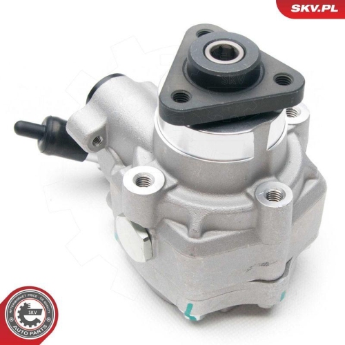 ESEN SKV Hydraulikpumpe, Lenkung 10SKV194