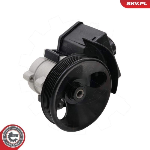 ESEN SKV Hydraulikpumpe, Lenkung 10SKV332