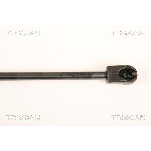 TRISCAN Gasfeder, Koffer-/Laderaum 8710 24237