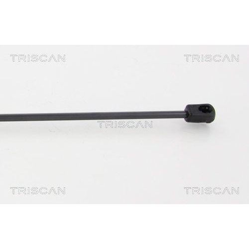 TRISCAN Gasfeder, Koffer-/Laderaum 8710 24241
