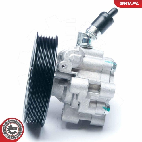 ESEN SKV Hydraulikpumpe, Lenkung 10SKV195