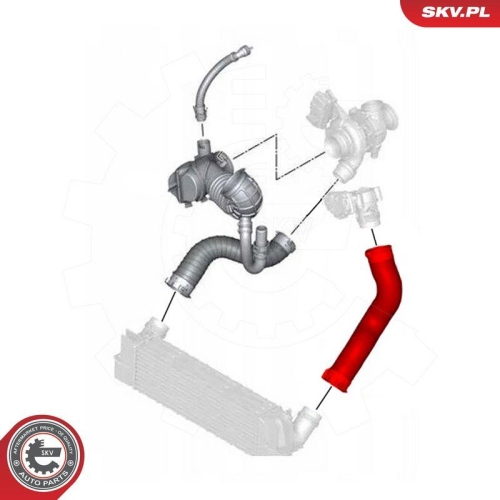 ESEN SKV Ladeluftschlauch 43SKV485