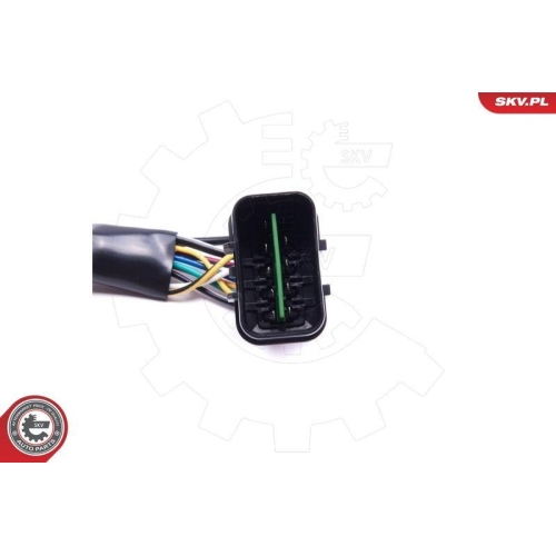 ESEN SKV Schalter, Fahrstufe