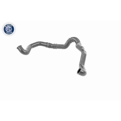 VAICO Schlauch, Zylinderkopfhaubenentlüftung Q+, Erstausrüsterqualität