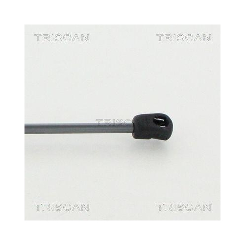 TRISCAN Gasfeder, Koffer-/Laderaum 8710 24261